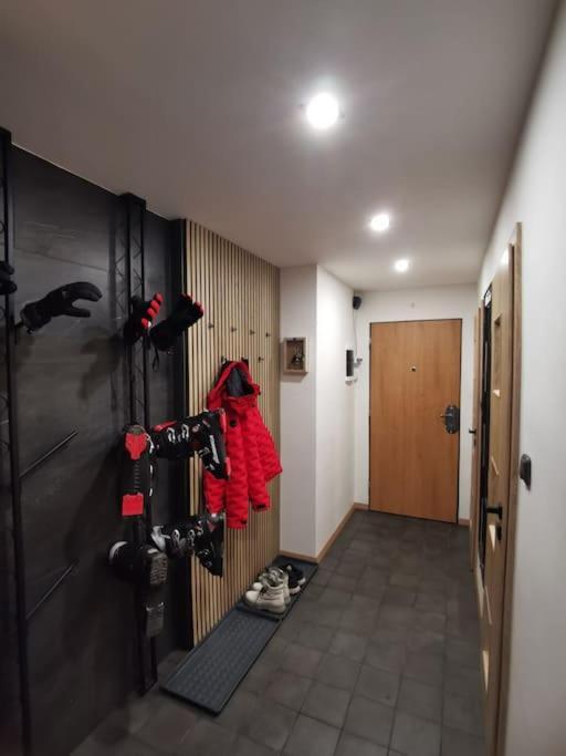 Apartman Bila Voda Červená Voda Extérieur photo
